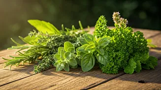 Unlocking Mediterranean Flavors: A Vegetarian's Guide to Essential Herbs