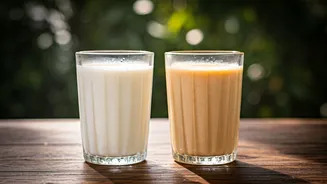 Heat Survival Is Tastier With Fermented Desi Drinks