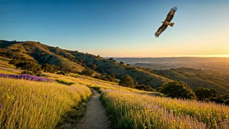 Topanga State Park: LA's Majestic Urban Wilderness for Hiking, Wildlife, and Escape