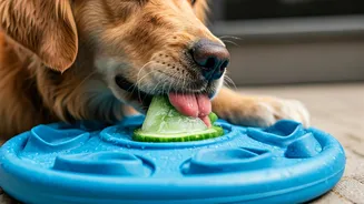 Freeze Blended Cucumber Juice In Puzzle Toys For Dogs