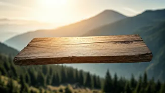 Plank Power: Unlock Better Balance & Daily Life