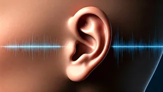 Protect Your Hearing: The ENT Specialist's 60/60 Rule for Safe Headphone Use