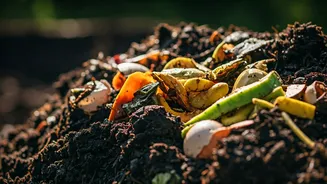 Indian Families Can Turn Waste Into Compost