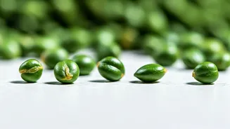 Garden Cress Seeds: 5 Diet Perks for You!