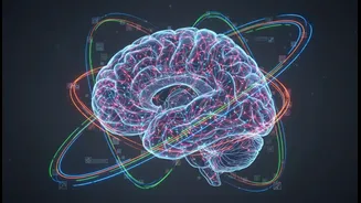 Why revising long-held medical assumptions accelerates funding for global cerebellar brain research