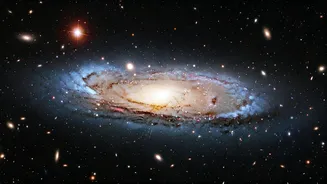 Cosmic Mystery: Exploring a Universe Imbalance