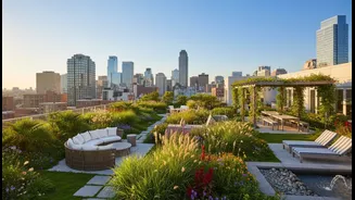Plants That Add Shade And Comfort To Rooftops
