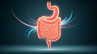 Related Stories banner