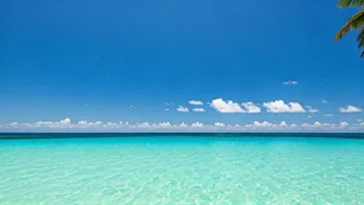 India's Island Gems: Escape Awaits!