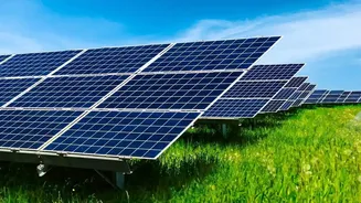 India's Latest Agrivoltaics Drive Brings Water Use into Agrivoltaics Assessment