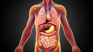 The Body's Response: What Happens When You Cut Ghee & Oil?