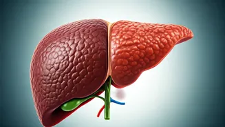Fatty Liver: Understanding the Silent Threat