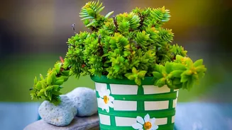 Small Pots Usually Need More Holiday Planning than Large Containers