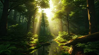 Forest Getaways Are The Coolest Summer Escape Now