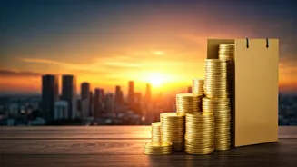 Swiggy's Massive Rs 10,000 Crore QIP: Expansion Plans