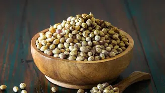 Coriander Price Rise: How Rain-Related Supply Problems Reach Your Kitchen