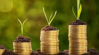 How To Plan A Gold Jewellery Budget Without Stretching Your Finances