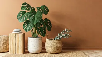 Cultivate Serenity: Natural Elements to Transform Your Home Decor