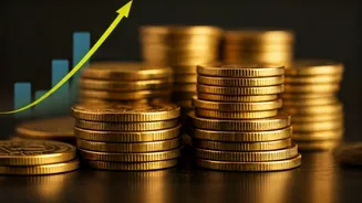 RBI Keeps Rates Unchanged, Cites Tariff Risks