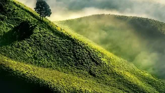 The Weekend Destination Offers Misty Hills without a Long Interstate Journey