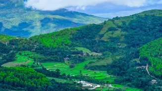 Scenic Post-Monsoon Drives: Exploring Hidden Western Ghats Trails Near Coorg And Mahabaleshwar