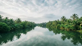 Kerala Traditional Ayurvedic Retreats Experience Peak Monsoon Demand From Overworked Millennial Travellers