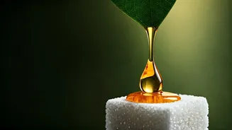 Strictly Sugar-Free? Why Honey Isn't a Free Pass for Your Diet