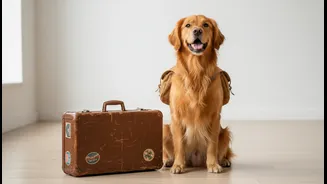 Travelling With A Pet Starts With Transport, Temperament And Stay Suitability