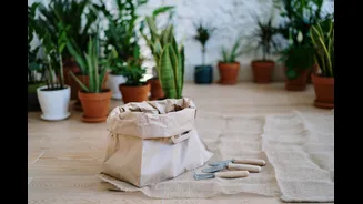 How to Start a Home Garden with Grow-Bag Kits and Vertical Gardens