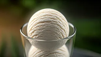 This Tender Coconut Ice Cream Recipe Is Taking Over Instagram