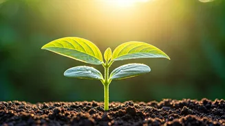 Unlock Your Health: 5 Effortless Habits for Significant Weight Loss, Just Like Jesica Artwani!