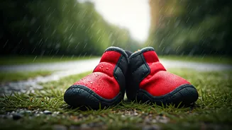 The Easiest Way To Choose Waterproof Dog Booties