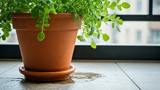 Balcony Gardeners Need To Stop Ignoring Drainage