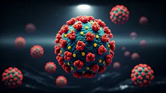 Rare Hantavirus Human Spread Suspected on Cruise Ship: 3 Fatalities Confirmed