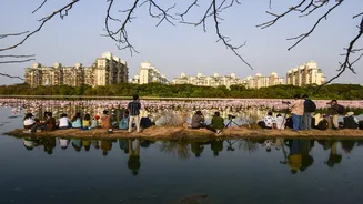 Mumbai Weather: IMD predicts party cloudy sky in city today