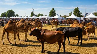 Top Animal Fairs: A Guide to India's Best