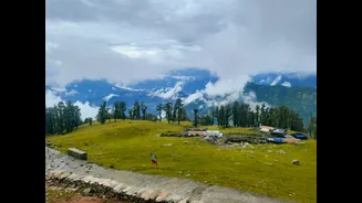 Fresh Snowfall Blankets Uttarakhand's Chamoli District