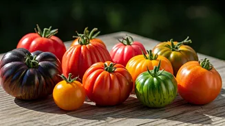 9 Unique Tomato Varieties to Elevate Your Garden Harvest This Year