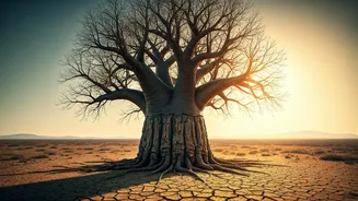 Related Stories banner