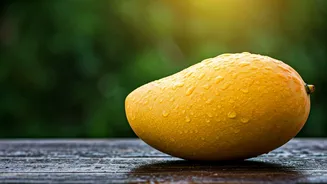 Goa's Priciest Mangoes: Mancurad Debut at Rs 5,000/Dozen Amidst Bountiful Season