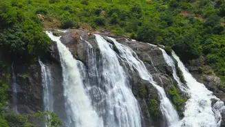 Flash Floods: How Heavy Rain, Landslides And Dam Failures Can Trigger Them