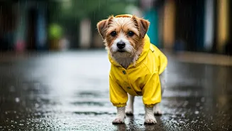 Why Mumbai Dog Owners Master The Raincoat Trend