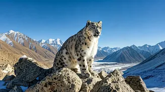 Related Stories banner