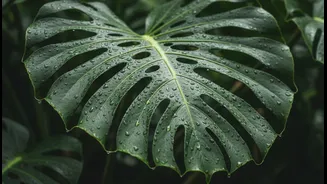 Monsoon Greens Have Entered Festival Moodboards