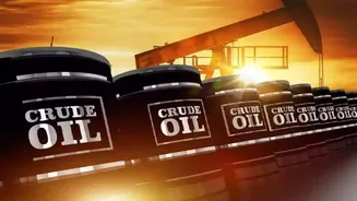 Oil Prices Extend Gains After US-Iran Strikes; OPEC+ Holds Output Quotas Steady