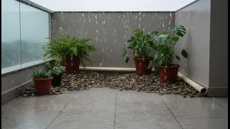 DIY Balcony Drainage Systems Can Help Prevent Plant Diseases This Monsoon