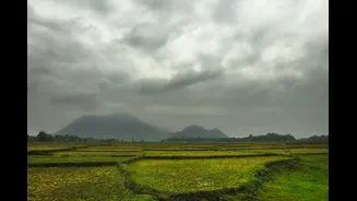 Understanding Monsoon Transition in South India