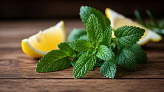 Elevate Your Cuisine: 5 Delightful Ways to Use Zesty Lemon Balm Leaves