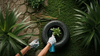 Housing Societies Launch Weekend Drives To Eradicate Dengue Mosquitoes