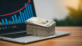 Indian Influencer's Brand Collaboration Earnings in 2025